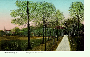 Senftenberg